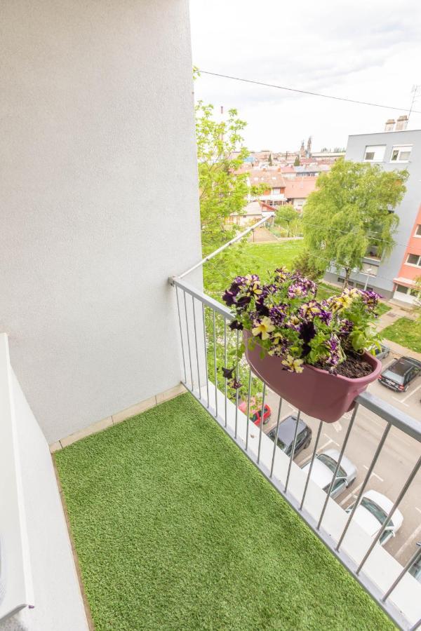 Cosy Apartment Hugo Osijek Eksteriør billede